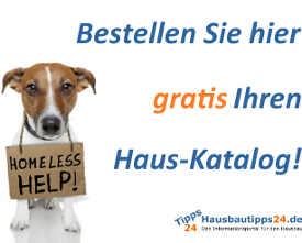 homeless 275 02