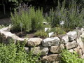 Gartenplanung und Gestaltung Kraeuterbeet mit Steinen eingefasst