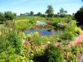 Anlage eines Gartenteichs