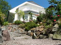 Garten Pflanzen Steingarten (zum vergroessern klicken)