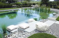 Garten Tipps und Ideen Kristallklares Wasser im Schwimmteich