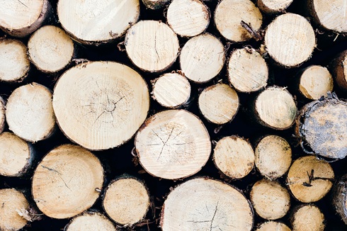 Wärmegewinnung aus Holz bietet Versorgungssicherheit – unabhängig von Wind und Wetter.  