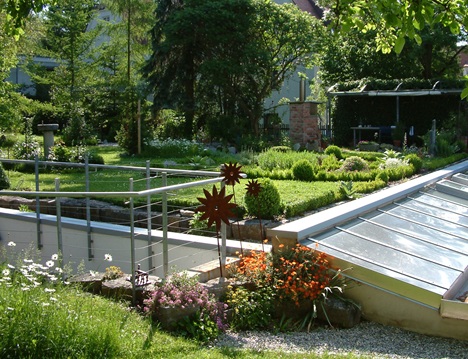 Auf Gründächern können ganz Gartenlandschaften als Beitrag zur „Schwammstadt“ entstehen.