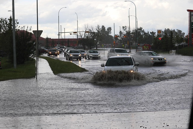 Die Schwammstadt kann viel zum Klimaschutz beitragen