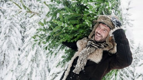 Dank moderner Technik macht nicht nur der Kauf des Weihnachtsbaums Spaß, sondern auch das Aufstellen im heimischen Wohnzimmer.  