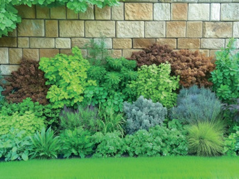 Mit ihren unterschiedlichen Blühzeiten, vielfältigen Blattformen und farbenfrohen Früchten sorgen Wildsträucher für Abwechslung das ganze Jahr hindurch.  