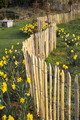 Gartenplanung und Gestaltung Formschoene Trennlinien