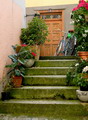 Gartenplanung und Gestaltungsideen fuer Balkon und Garten