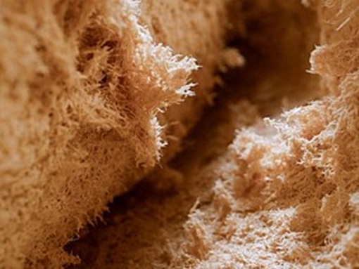 Holzschaum: Dämmmaterial und nachhaltiger Torfersatz