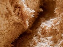 Holzschaum: Dämmmaterial und nachhaltiger Torfersatz