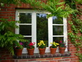 Garten Pflanzen schoene Idee sonst waere es kahl (zum vergroesserm klicken) Garten Pflanzen schoene Idee sonst waere es kahl (zum vergroessern klicken)