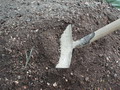 Garten im Herbst Reifer Kompost muss einfach sein (zum vergroessern klicken)