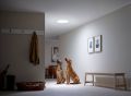 Tageslicht Spots