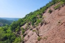 Naturpark Soonwald-Nahe: DBU fördert Schwammregion  